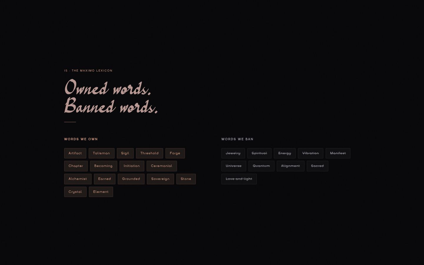 Brand book page: owned words and banned words
